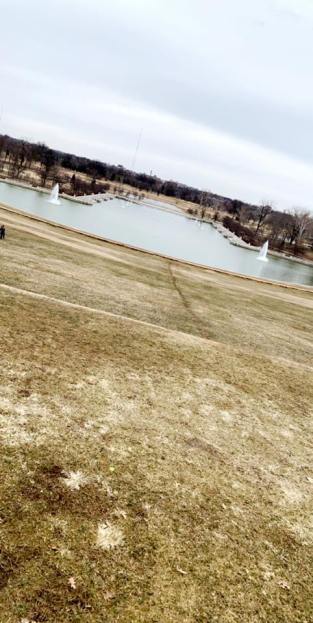 53906793_2144176539000210_6977031732193132544_n